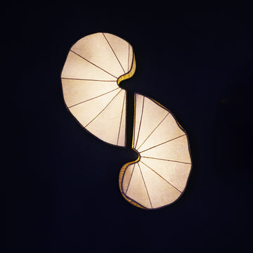 Samya Wall Light