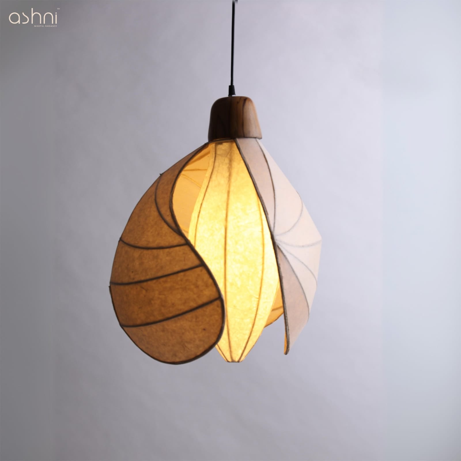 KOSH-Suspended Light