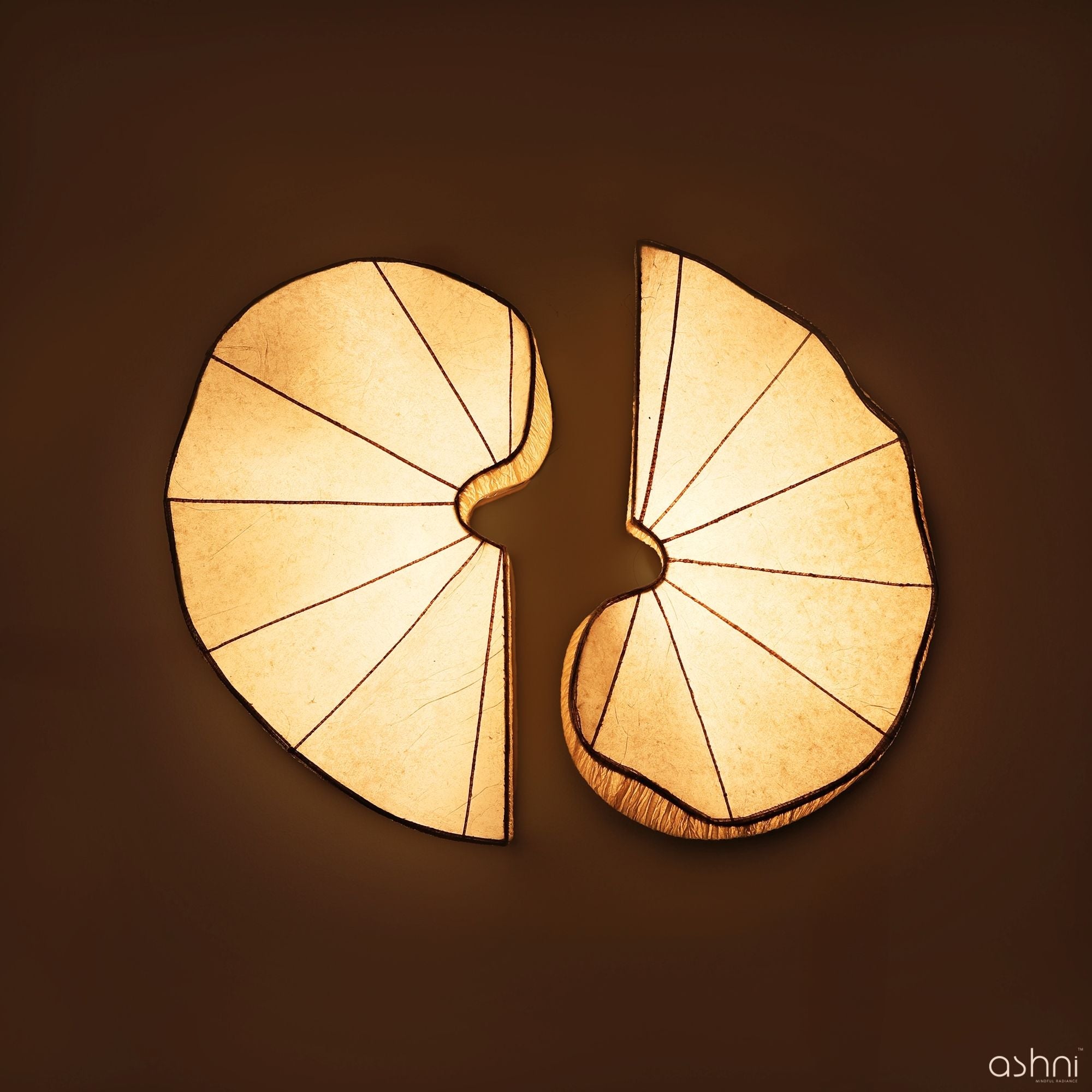 Samya Wall Light